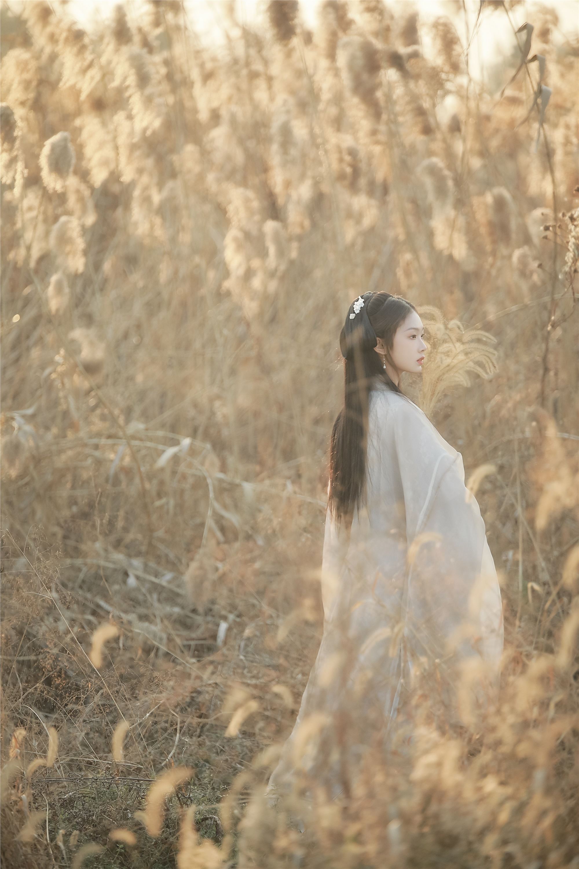 YITUYU艺图语 2025.01.28 叹秋 溱溱